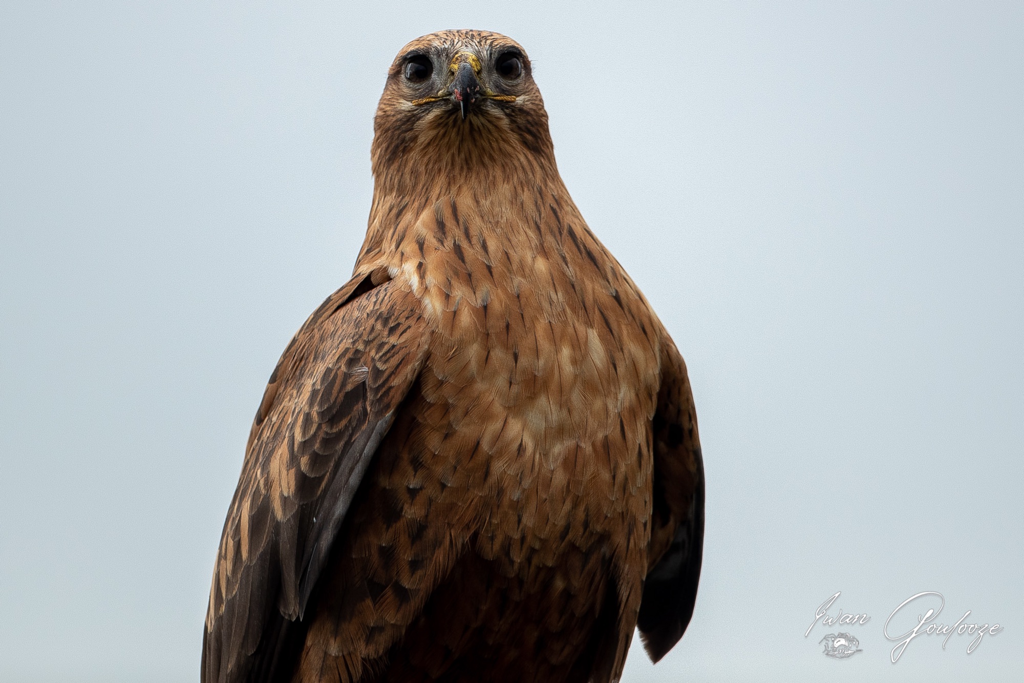 1DX45339 28 november 2021 1354 27